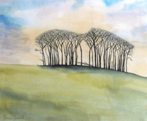 Well Loved Copse