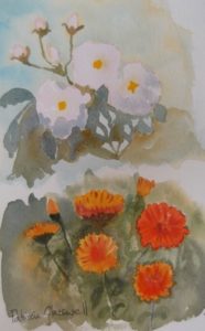 Flower Study